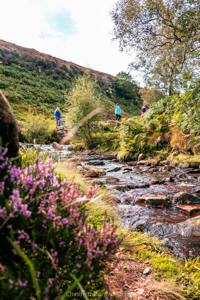 Bronte Waterfall