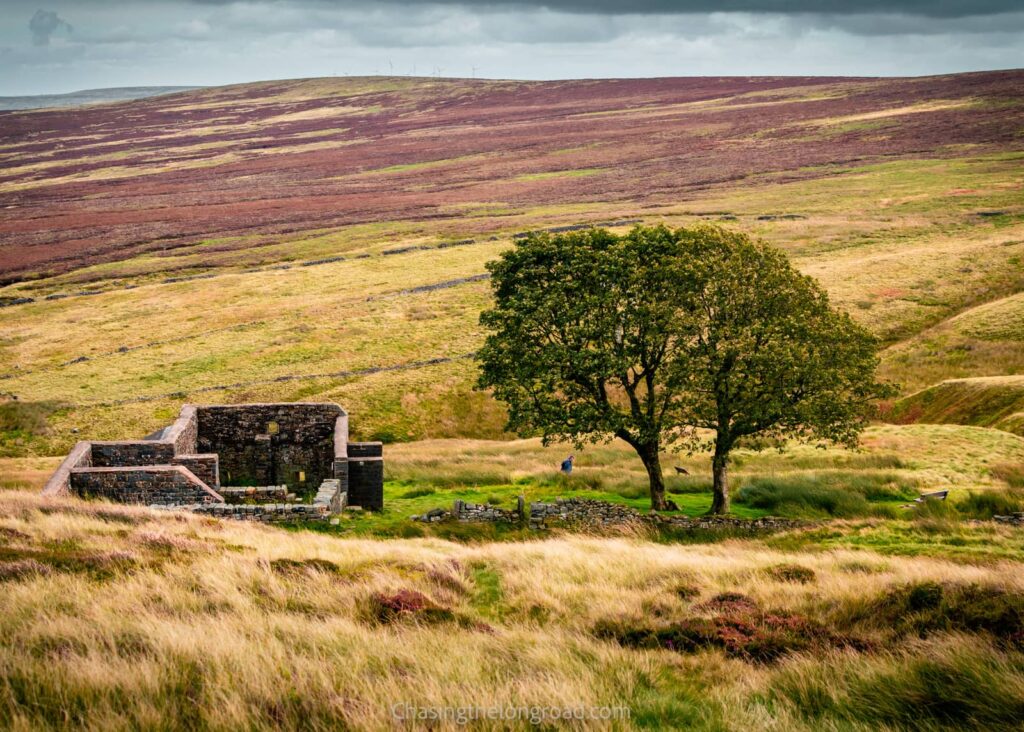 ruin house at top within