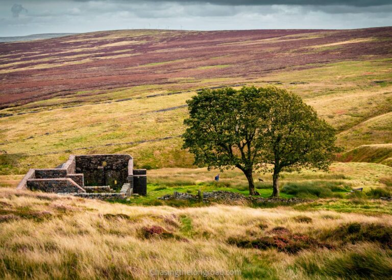 ruin house at top within