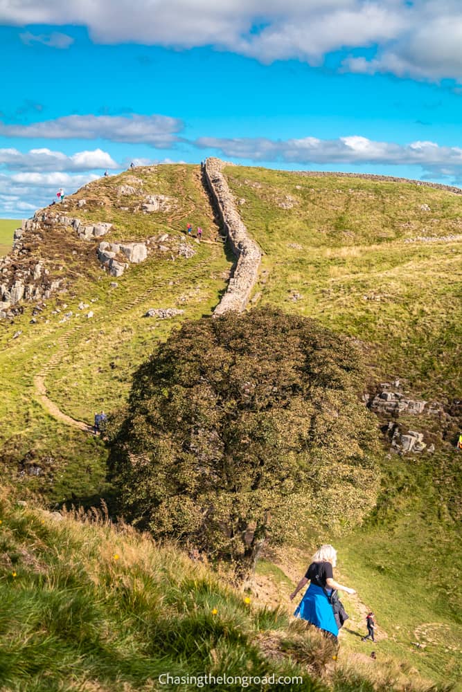 sycamore gap hadrians wall from above the hill