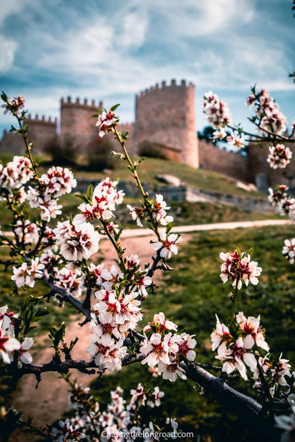 avila city wall