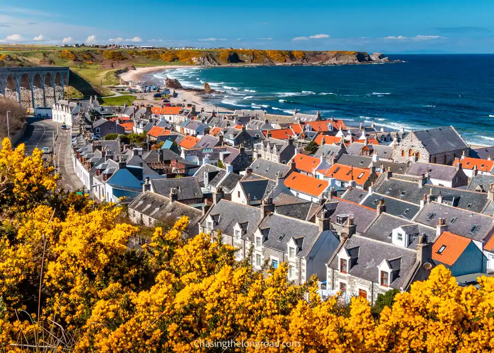 view from Cullen Viaduct