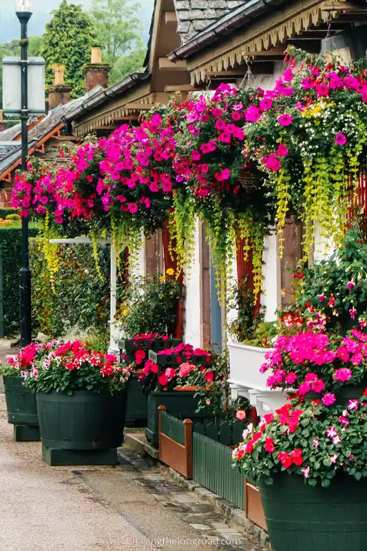 gardens with hanging flower