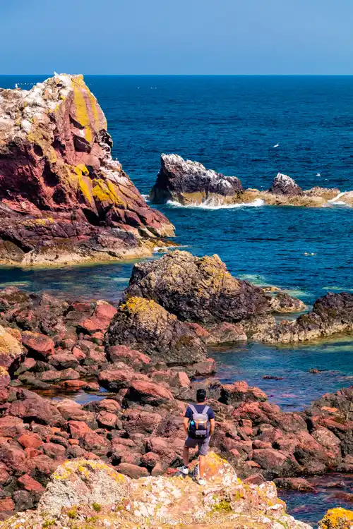 Coastal view Scottish Borders