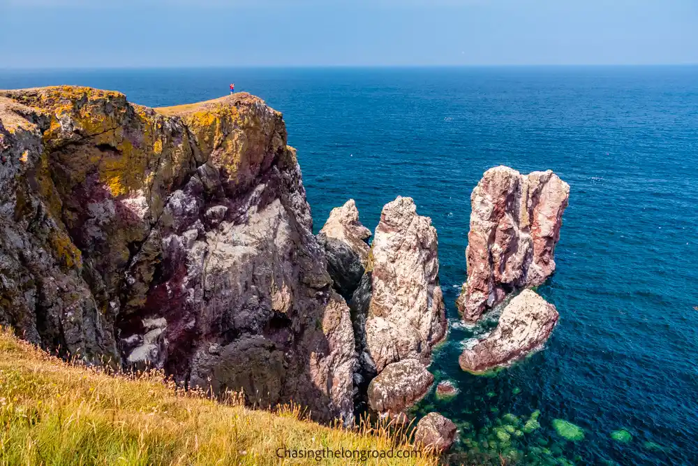 St Abbs Head Nature Reserve