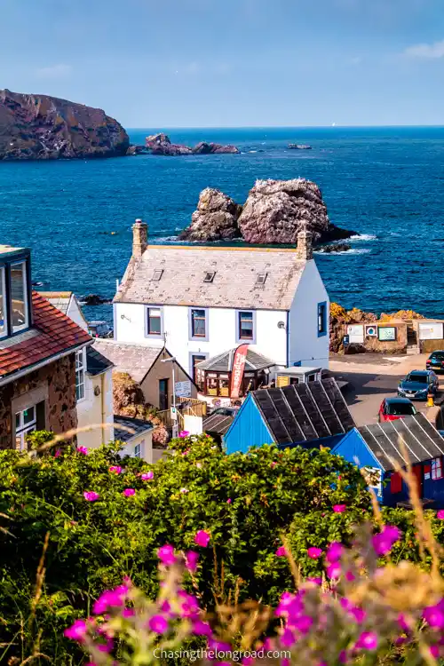 St Abbs Village houses