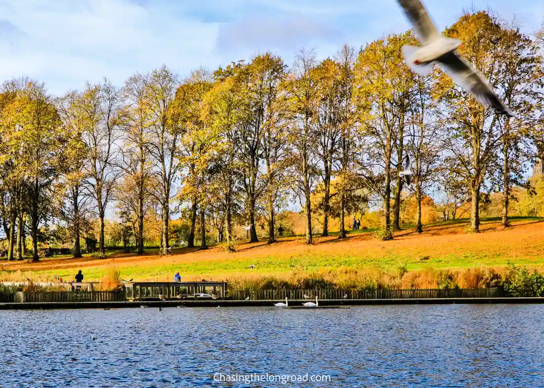 Inverleith Park and Pond