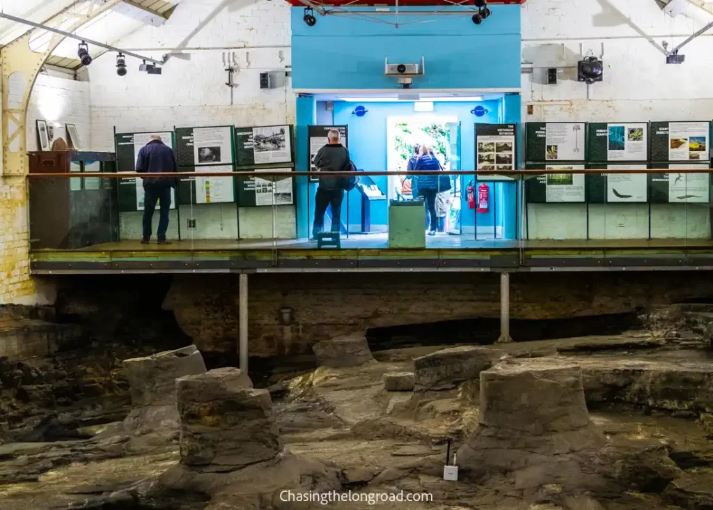 Fossil Grove, Glasgow