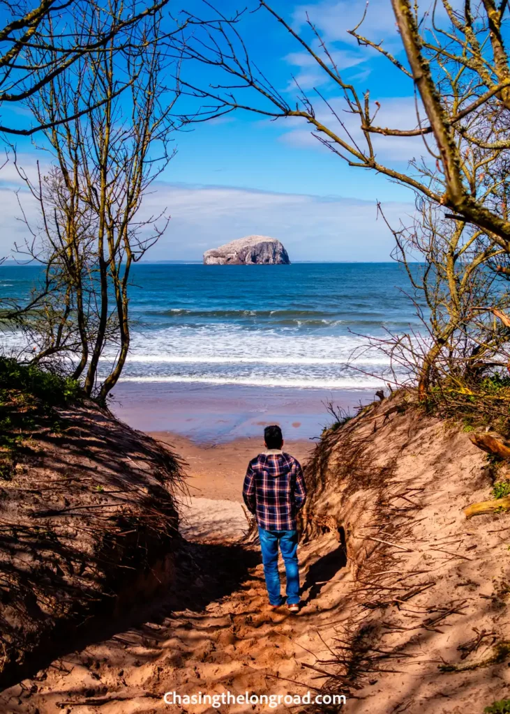 Seacliff Beach