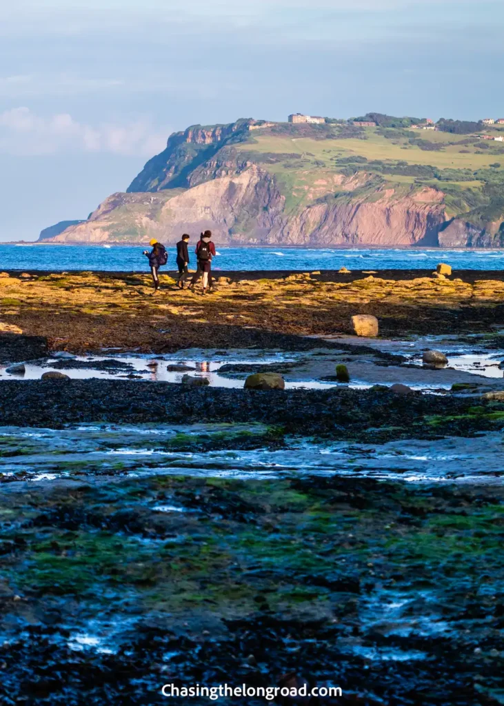 yorkshire coast